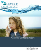 consumer confidence report2017.pdf